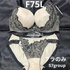 2026年最新】f75 サルートの人気アイテム - メルカリ