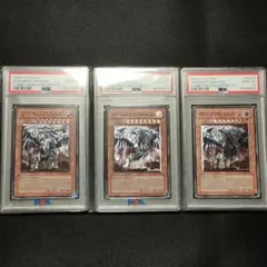 2026年最新】裁きの龍 レリーフ psaの人気アイテム - メルカリ