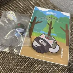 2026年最新】ニャルト カカシの人気アイテム - メルカリ