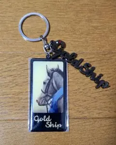 2026年最新】jra ゴールドシップの人気アイテム - メルカリ