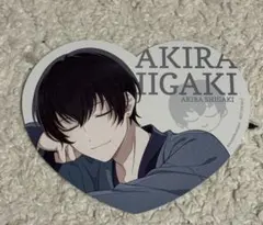 2026年最新】アオペラ 明 缶バッジの人気アイテム - メルカリ