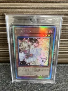 2026年最新】うらら 25thの人気アイテム - メルカリ