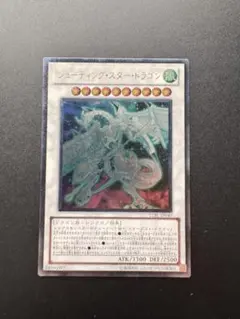 2026年最新】シューティングスタードラゴンスリーブの人気アイテム