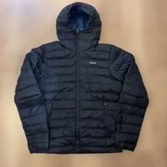 2026年最新】パタゴニア ダウンセーターフーディ レディースの人気