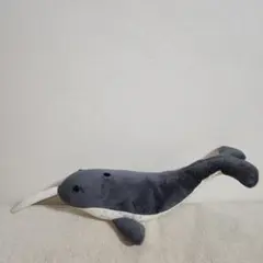 2026年最新】角 イッカクの人気アイテム - メルカリ