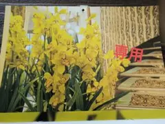 2026年最新】エアステリニエ 24hクリームの人気アイテム - メルカリ