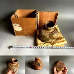 2026年最新】信楽 うずくまるの人気アイテム - メルカリ