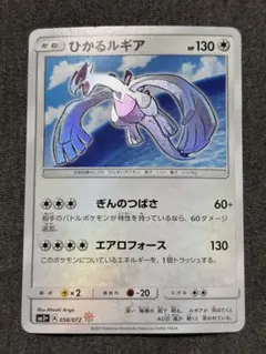 m59256079085_1.jpg?1771156463