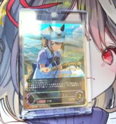 2026年最新】シュヴァルグラン spの人気アイテム - メルカリ