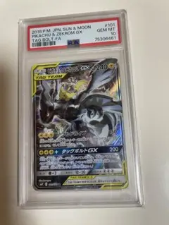 m59431500251_1.jpg?1765369051