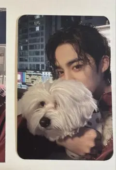 2026年最新】エスクプス fml yes24の人気アイテム - メルカリ