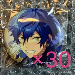 2026年最新】漣ジュン 缶バッジ アルバムの人気アイテム - メルカリ