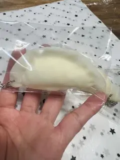 2026年最新】スクイーズ餃子の人気アイテム - メルカリ