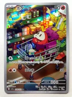 2026年最新】ポケモン ホゲータ arの人気アイテム - メルカリ