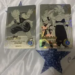 2026年最新】悟飯 パラレル ダイバーズの人気アイテム - メルカリ