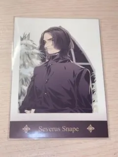 2026年最新】スネイプ カードの人気アイテム - メルカリ