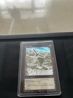 2026年最新】ベルセルク カード パラレルの人気アイテム - メルカリ