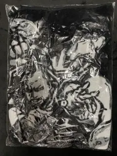 2026年最新】中邑真輔 タオルの人気アイテム - メルカリ