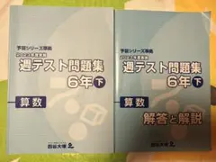 2026年最新】四谷大塚週テスト6年の人気アイテム - メルカリ