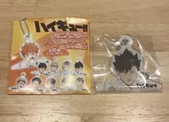 2026年最新】ミニハンガーアクリルチャームコレクションの人気アイテム