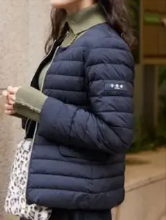 2026年最新】タトラス spinosaの人気アイテム - メルカリ