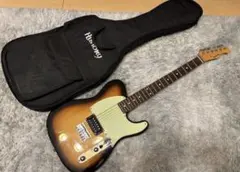 2026年最新】フジゲン HISTORYの人気アイテム - メルカリ