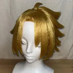 2026年最新】上鳴電気ウィッグの人気アイテム - メルカリ