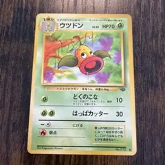 2026年最新】Pokemon Card Game カード名：ウツドン ポケモンカード