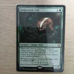 2026年最新】アナグマモグラの仔の人気アイテム - メルカリ