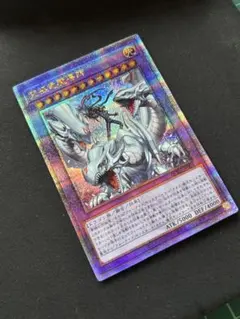 2026年最新】究極竜魔導師の人気アイテム - メルカリ