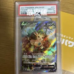 サンダースV SR SA S6a 079/069 イーブイヒーローズ PSA10 - メルカリ