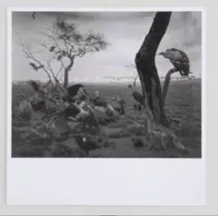 2026年最新】杉本博司ポスターの人気アイテム - メルカリ