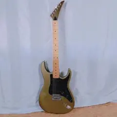 2026年最新】fernandes function fstの人気アイテム - メルカリ