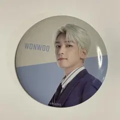 2026年最新】seventeen ウォヌ 缶バッジの人気アイテム - メルカリ