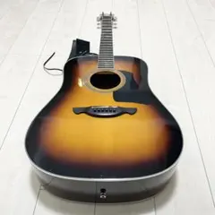 2026年最新】james アコギの人気アイテム - メルカリ