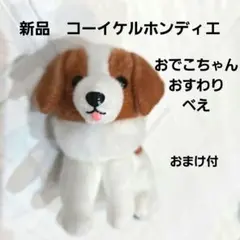2026年最新】コーイケルホンディエのおでこちゃんの人気アイテム