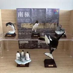 2026年最新】ネイチャーテクニカラー 南極の人気アイテム - メルカリ