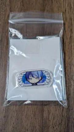 2026年最新】青柳冬弥称号バッジの人気アイテム - メルカリ