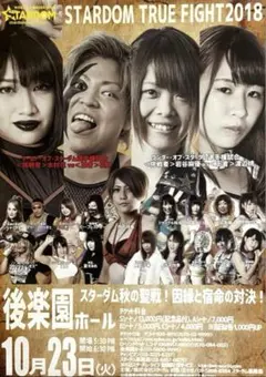 2026年最新】スターダム プロレス 岩谷の人気アイテム - メルカリ