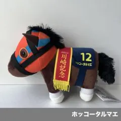 2026年最新】ホッコータルマエ ぬいぐるみの人気アイテム - メルカリ