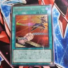 2026年最新】赤シクの人気アイテム - メルカリ