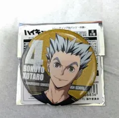 2026年最新】木兎光太郎 缶バッジの人気アイテム - メルカリ