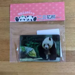 2026年最新】上野 動物園の人気アイテム - メルカリ