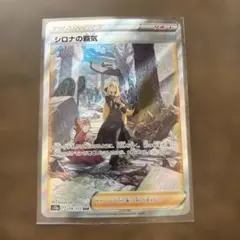 2026年最新】シロナ sarの人気アイテム - メルカリ