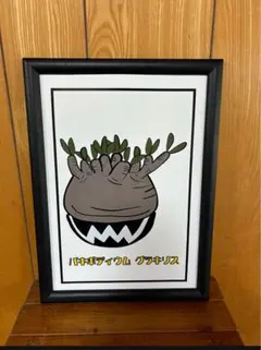 2026年最新】塊根植物 ポスターの人気アイテム - メルカリ