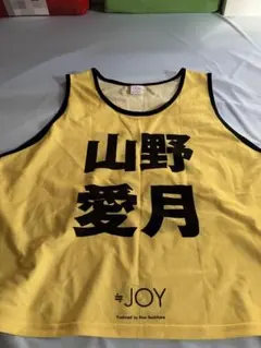 2026年最新】ニアジョイ ビブスの人気アイテム - メルカリ