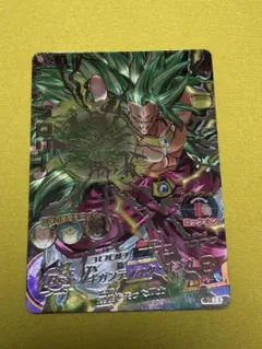 2026年最新】h8-sec ブロリーの人気アイテム - メルカリ