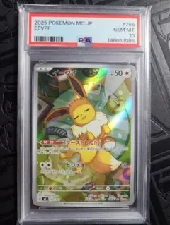 2026年最新】イーブイ ar psa10の人気アイテム - メルカリ