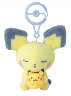 2026年最新】ピチュー ぬいぐるみの人気アイテム - メルカリ