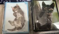 2026年最新】トレカアイテムくじEXの人気アイテム - メルカリ